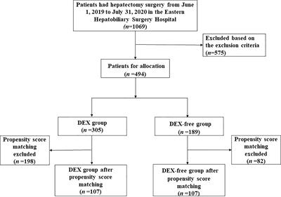 Dexmedetomidine ameliorates liver injury and maintains liver function in patients with hepatocellular carcinoma after hepatectomy: a retrospective cohort study with propensity score matching
